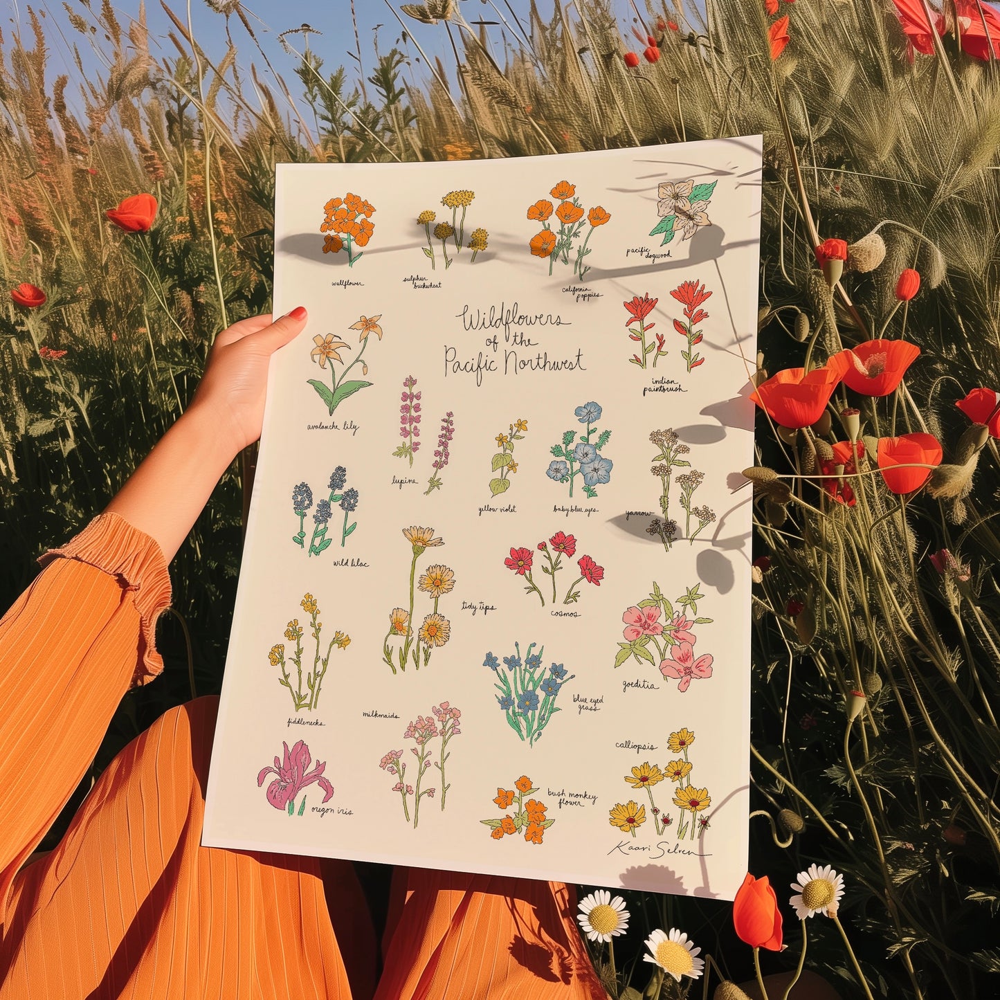 Wildflowers of the Pacific Northwest Art Print