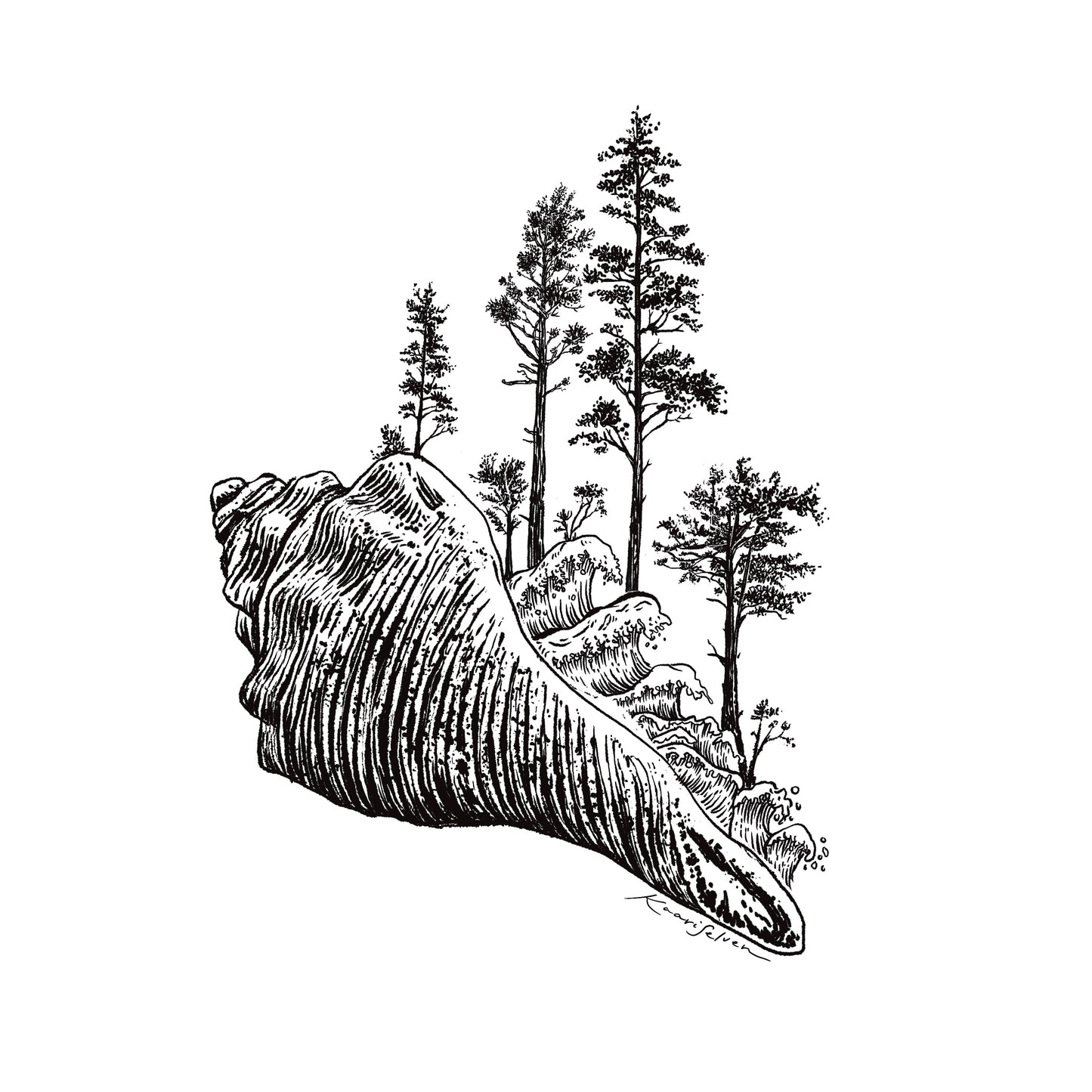 Forested Sitka Spruce Seashell Art Print