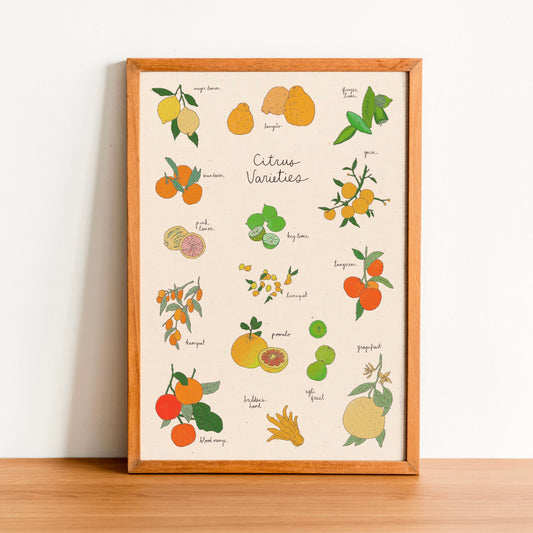 Citrus Varieties Art Print