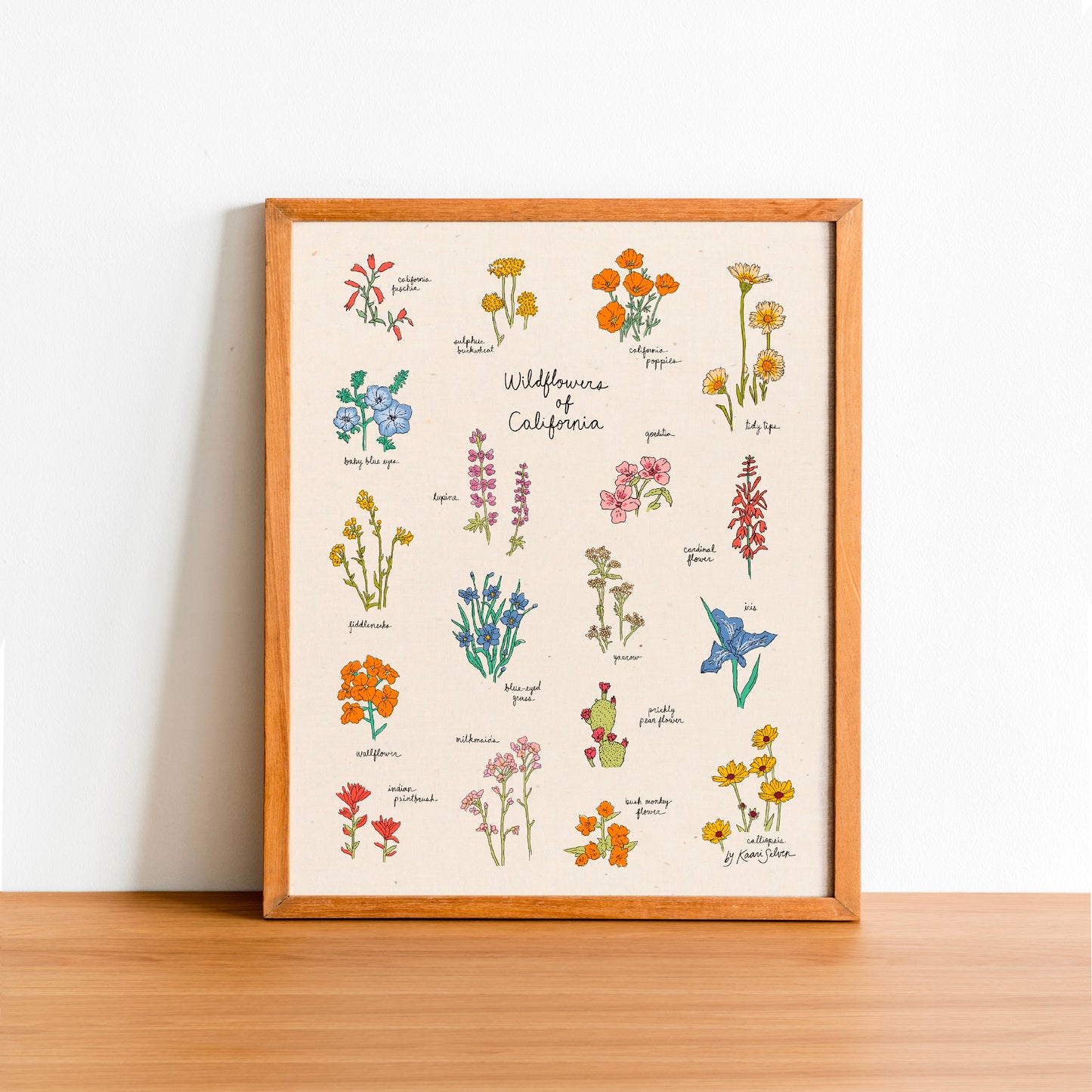 Wildflowers of California Art Print