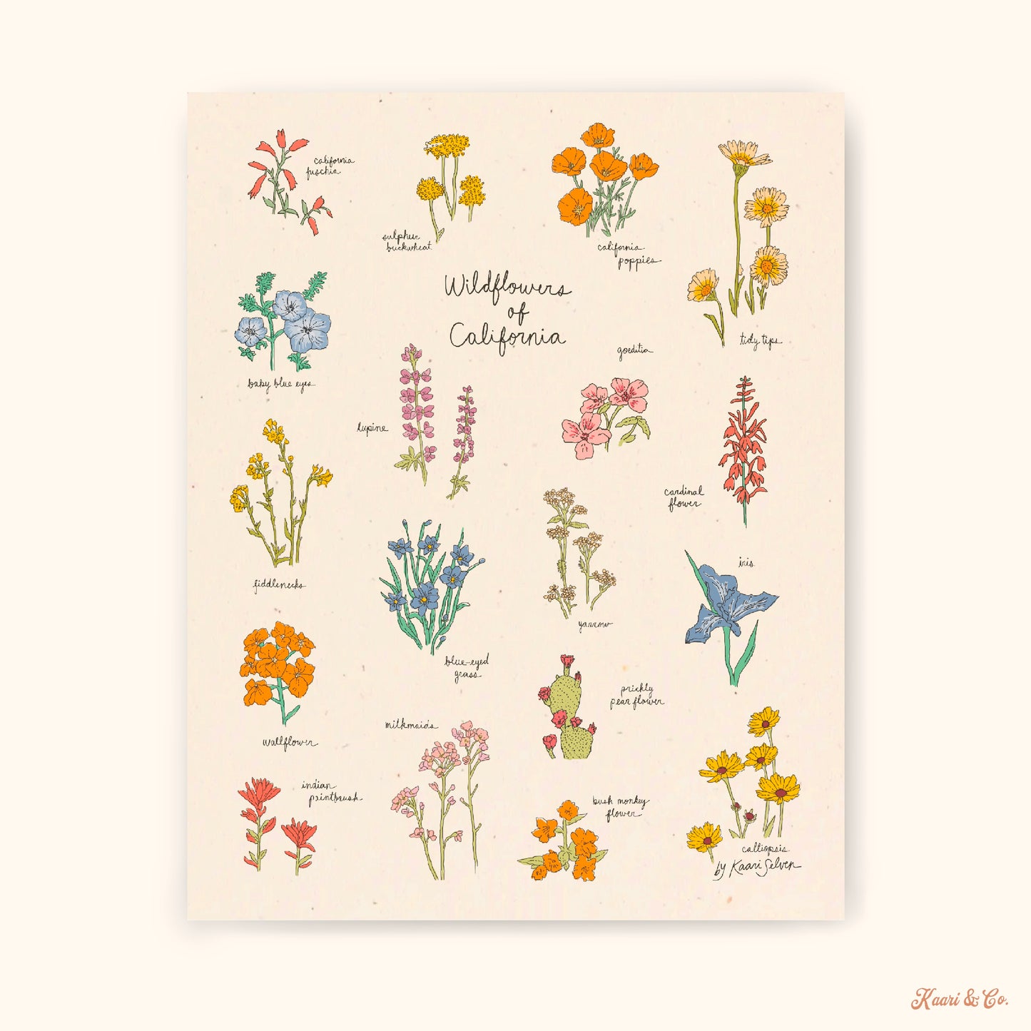 Wildflowers of California Art Print