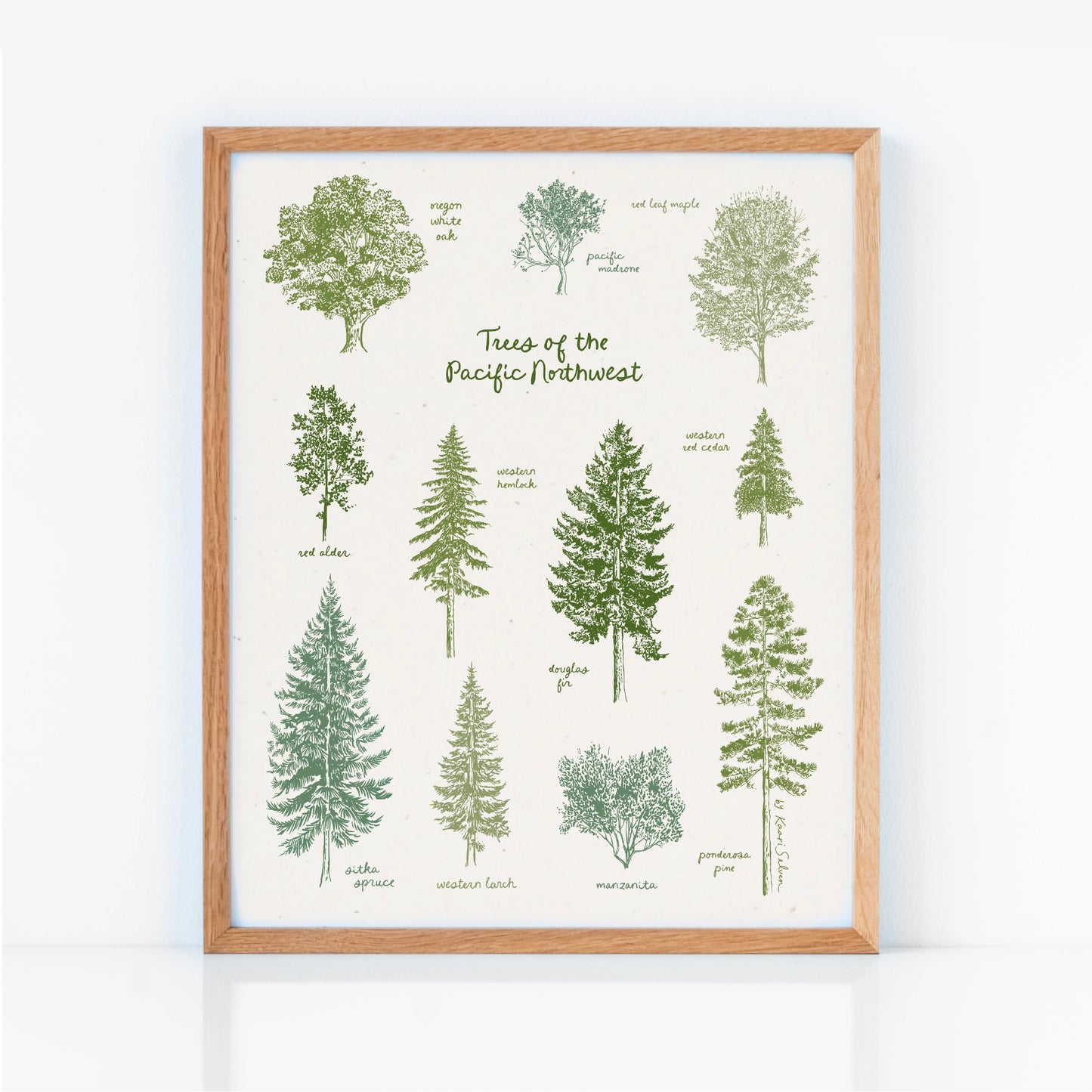 Trees of the Pacific Northwest Art Print