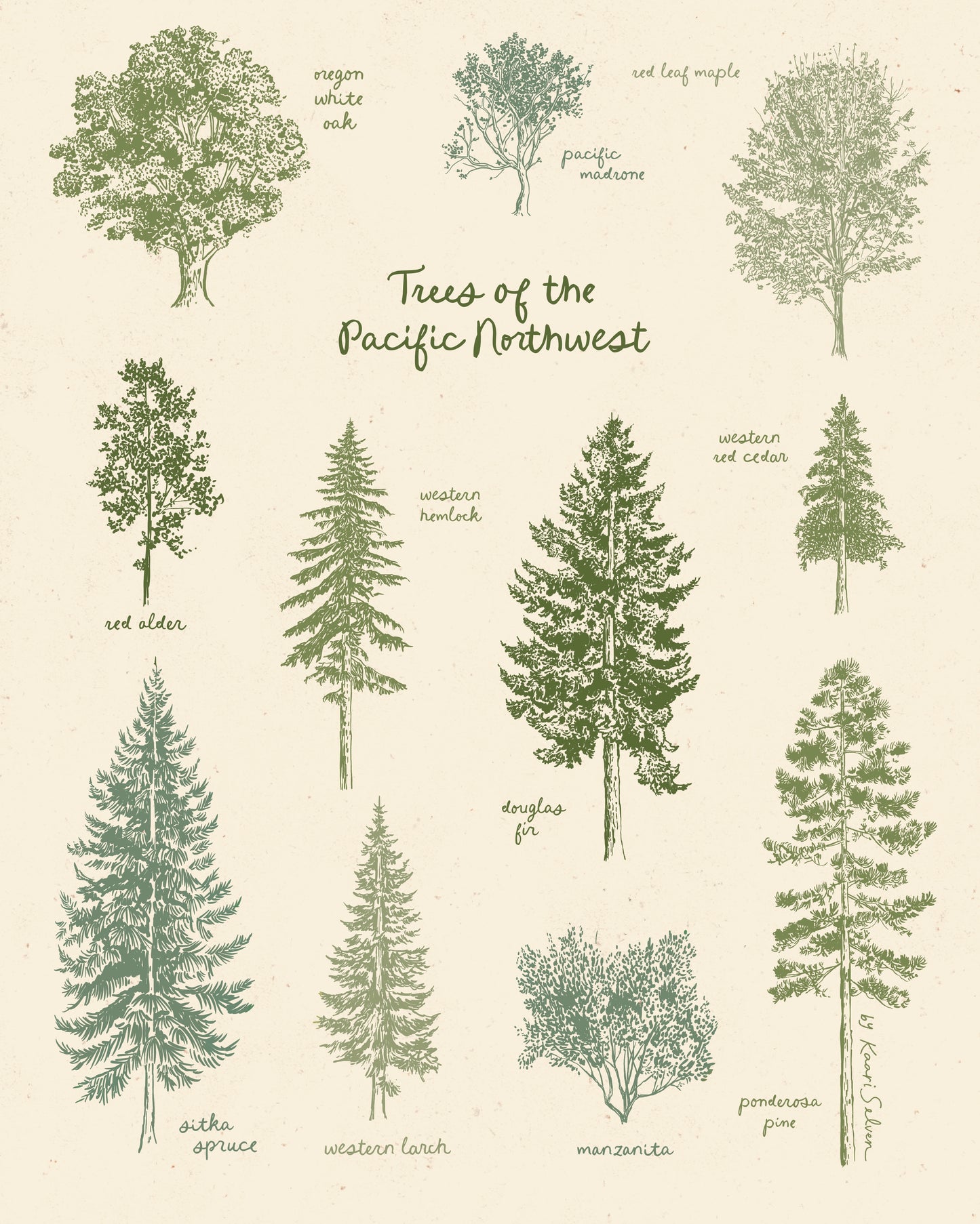 Trees of the Pacific Northwest Art Print