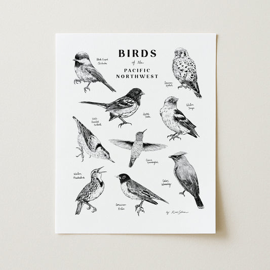Birds of the Pacific Northwest Art Print
