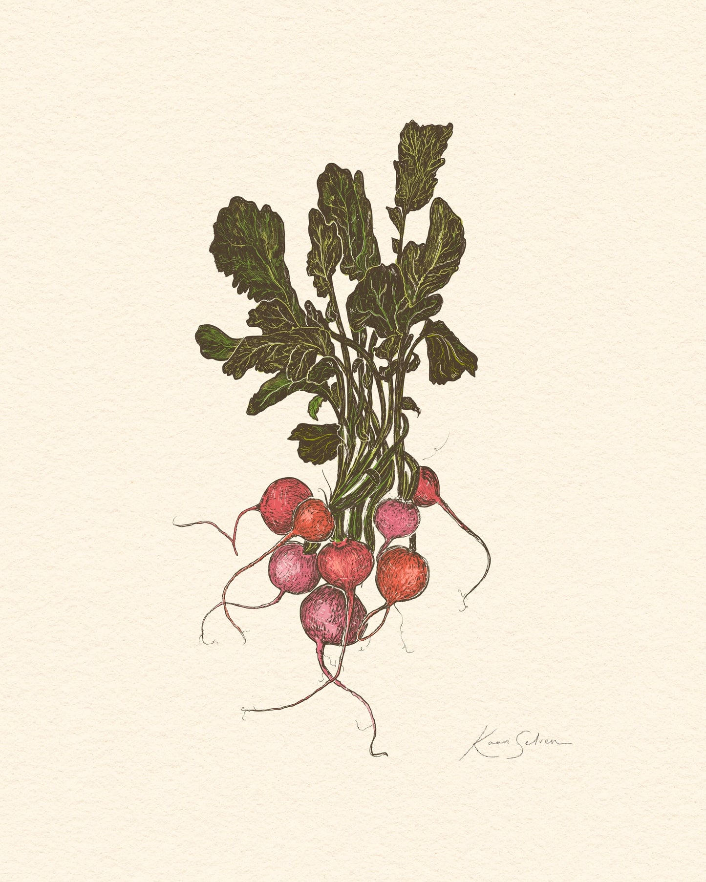 Bunch of Radishes Heirloom Art Print