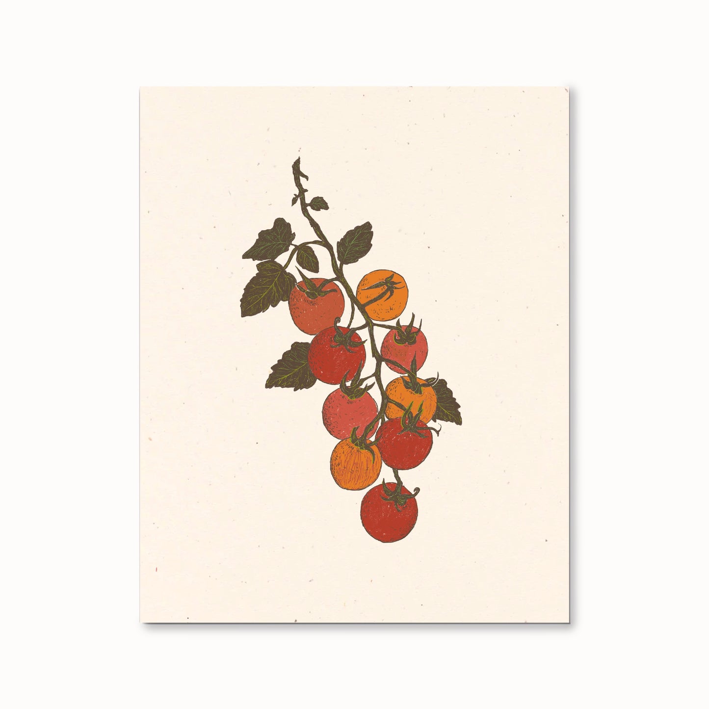 Cherry Tomato Vine Art Print - Open Edition