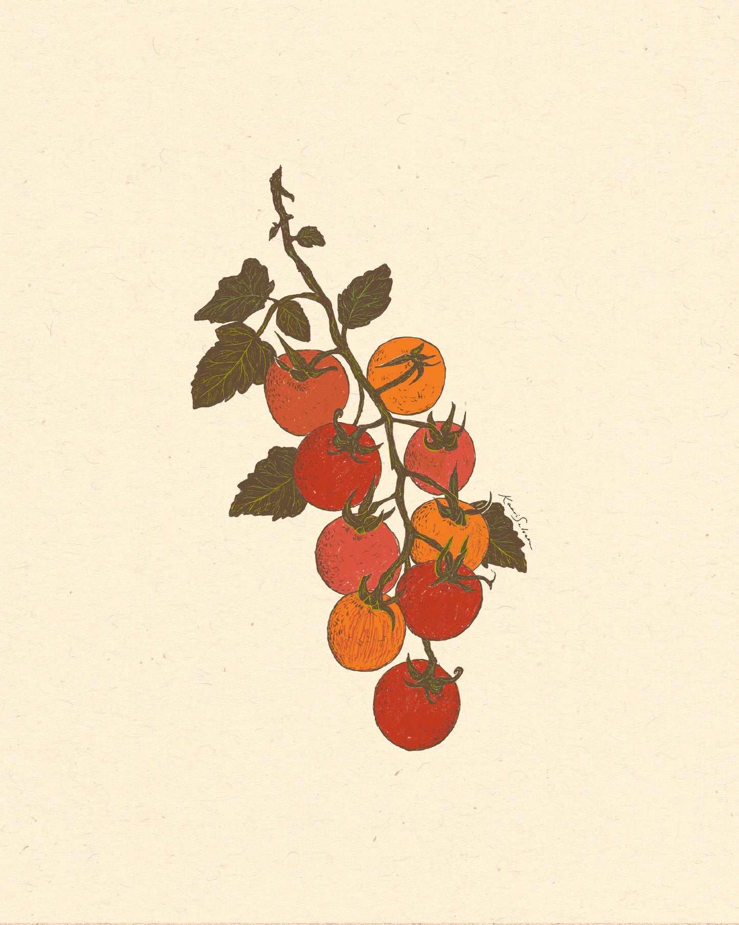 Cherry Tomato Vine Art Print - Open Edition