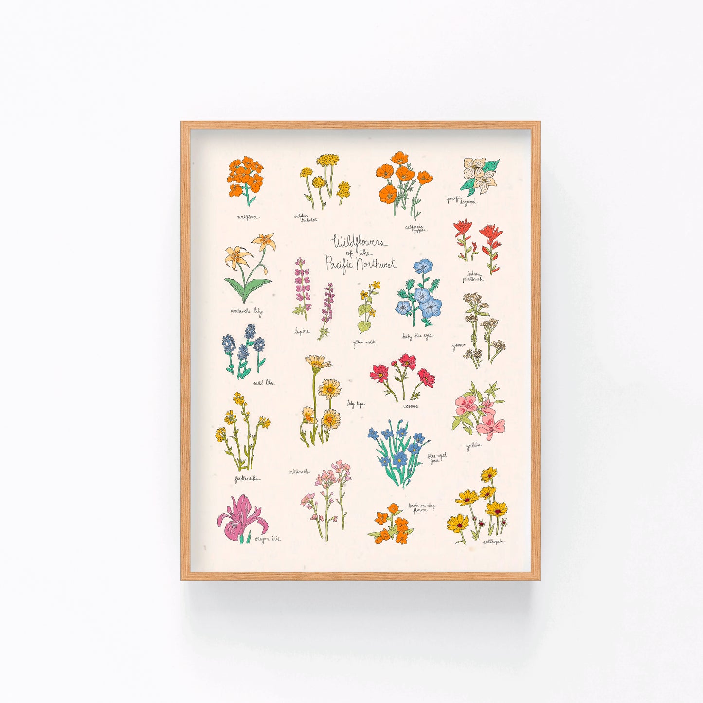 Wildflowers of the Pacific Northwest Art Print
