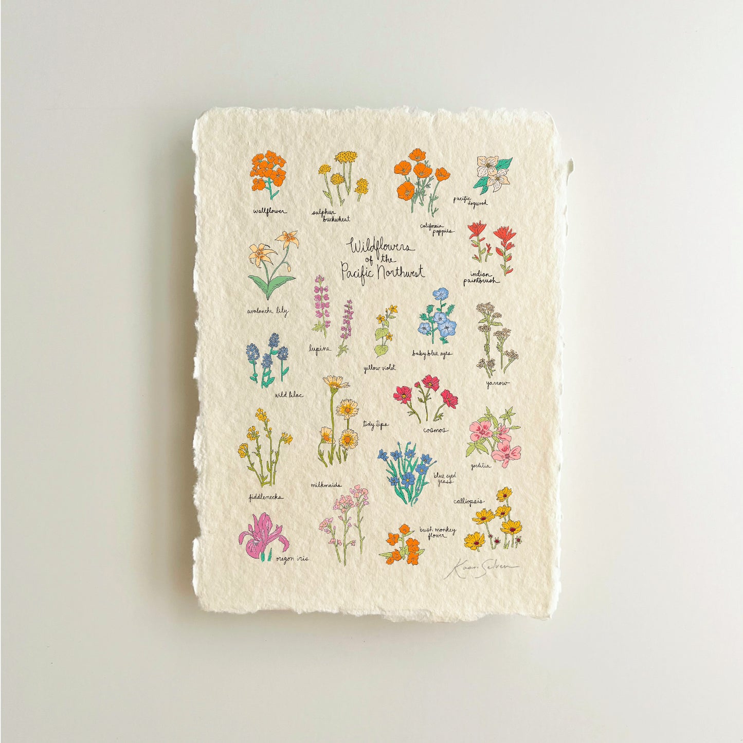 Wildflowers of the Pacific Northwest Heirloom Art Print