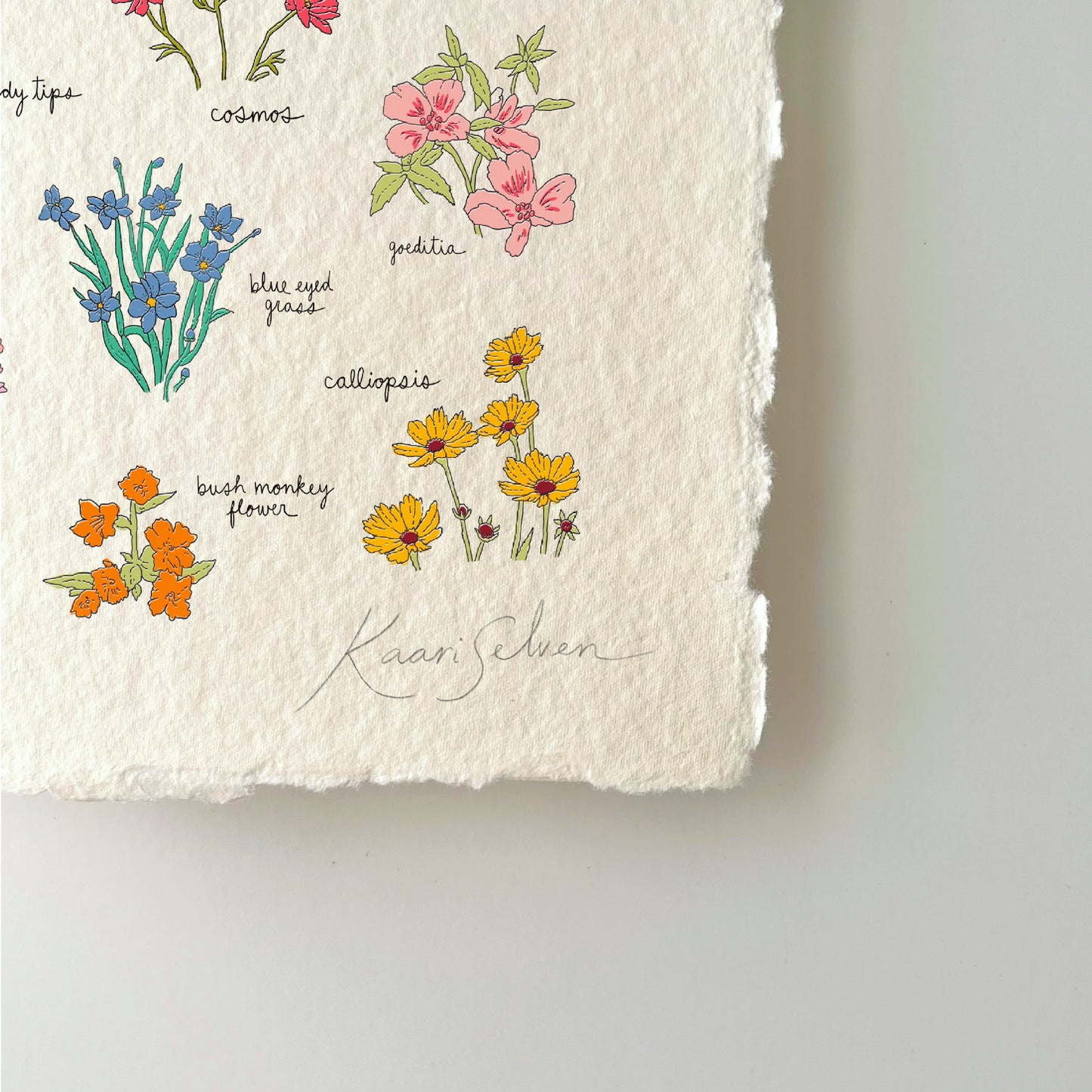 Wildflowers of the Pacific Northwest Heirloom Art Print