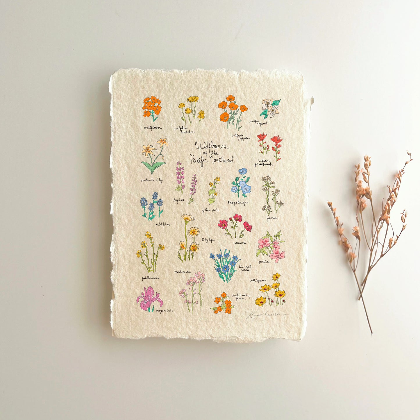 Wildflowers of the Pacific Northwest Heirloom Art Print