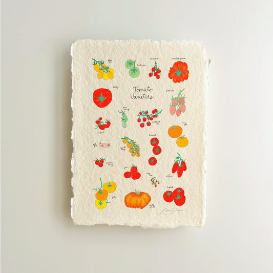 Tomato Varieties Heirloom Art Print