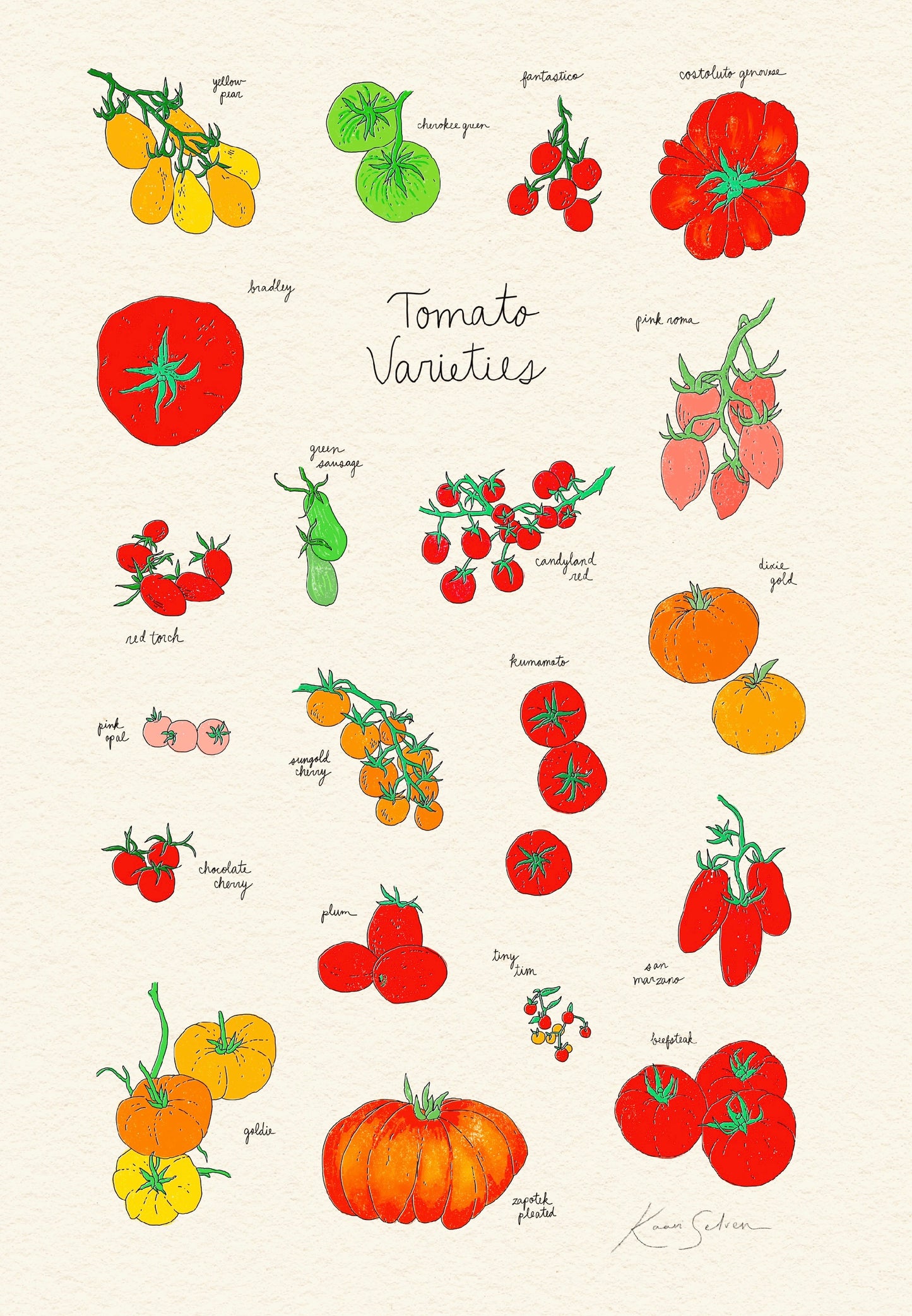 Tomato Varieties Heirloom Art Print