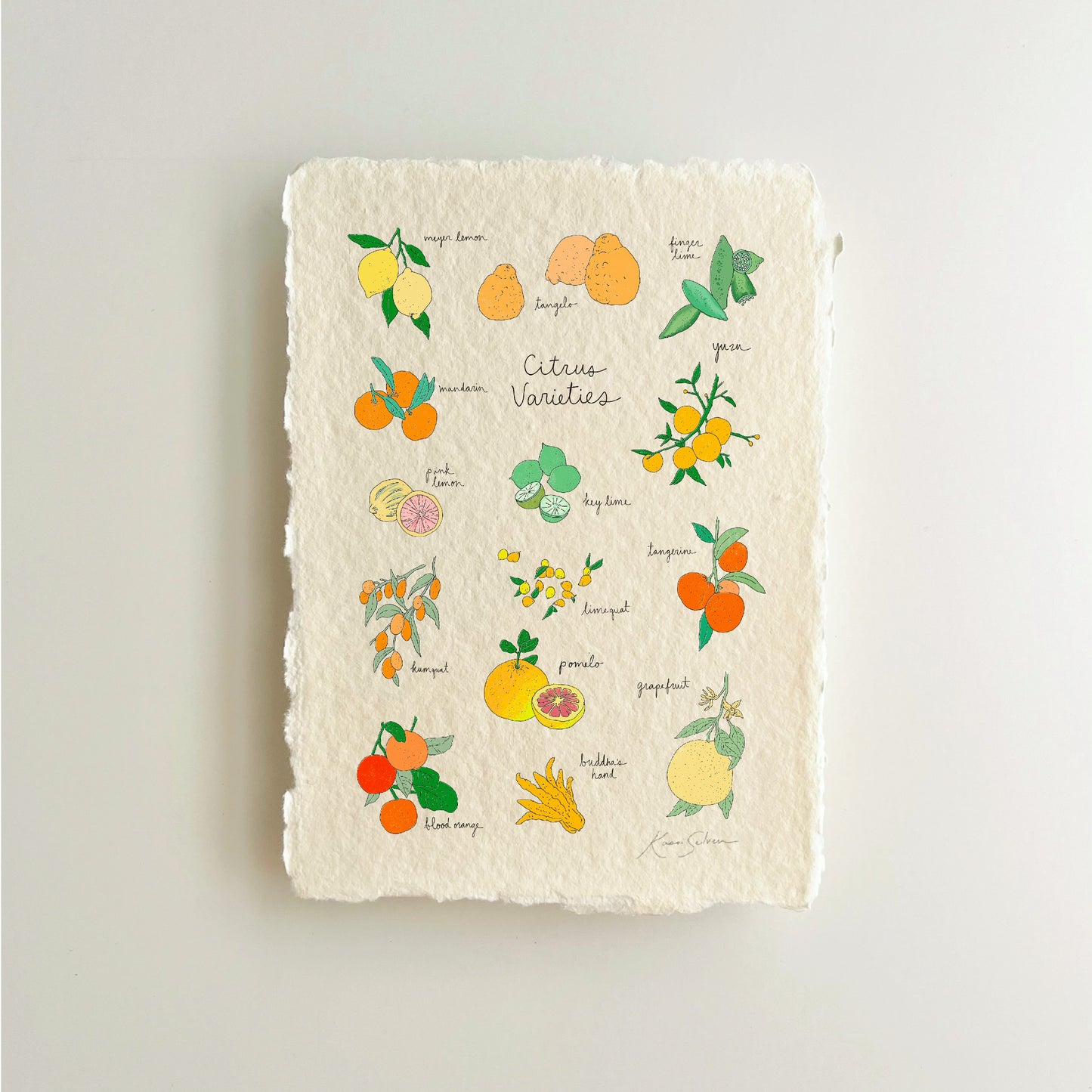 Citrus Varieties Heirloom Art Print