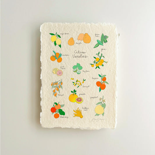 Citrus Varieties Heirloom Art Print