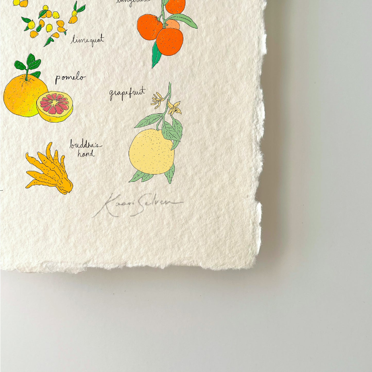 Citrus Varieties Heirloom Art Print