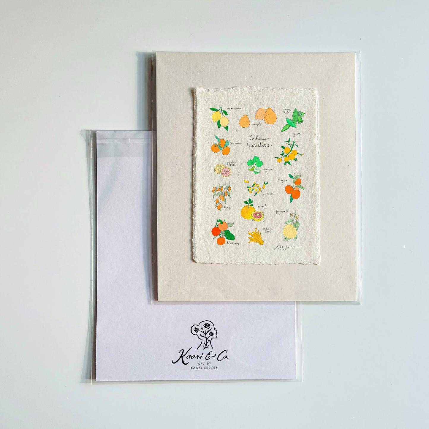 Citrus Varieties Heirloom Art Print