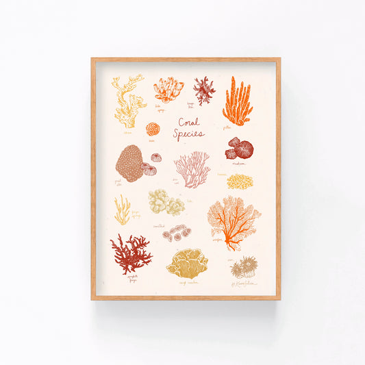 Coral Species Art Print