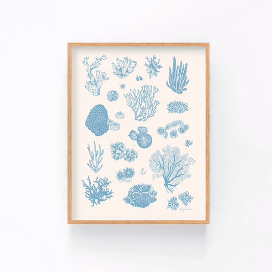Coral Sketches I Art Print