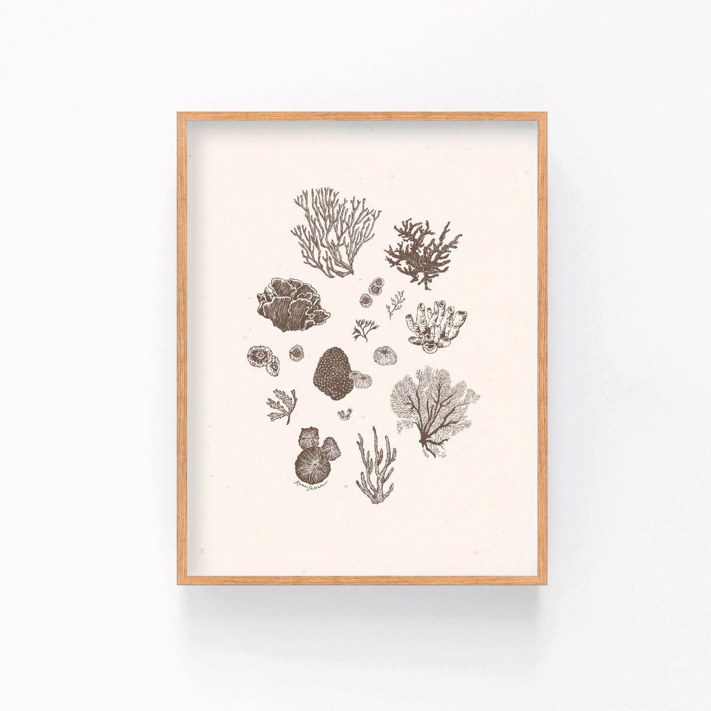 Coral Sketches II Art Print