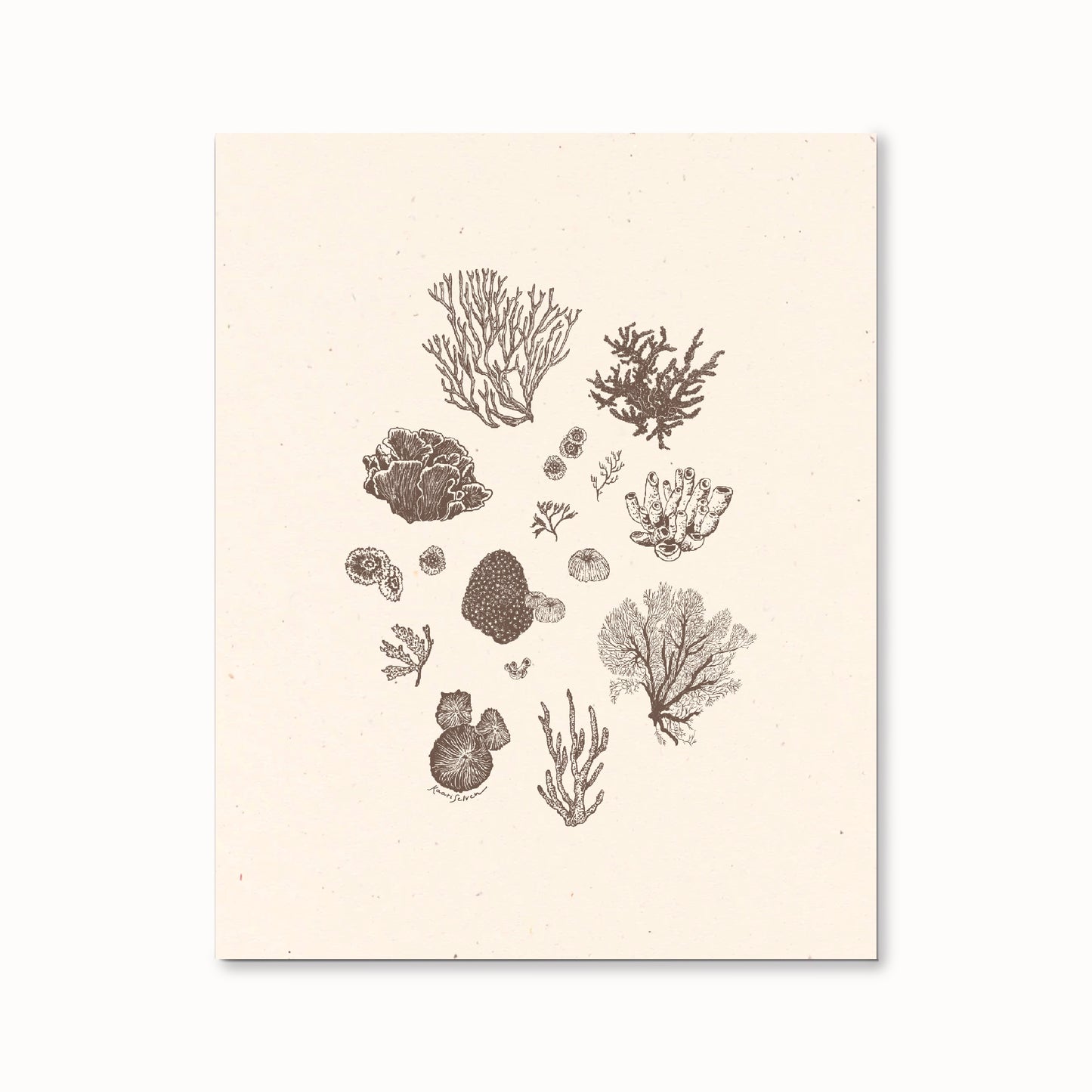 Coral Sketches II Art Print