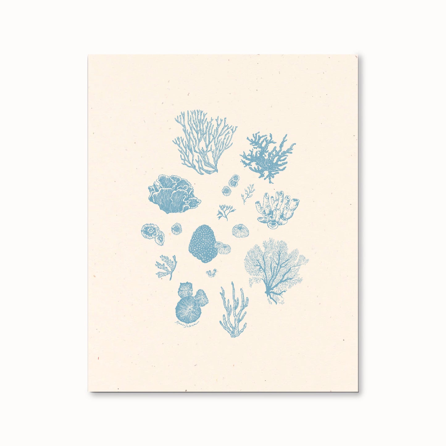 Coral Sketches II Art Print