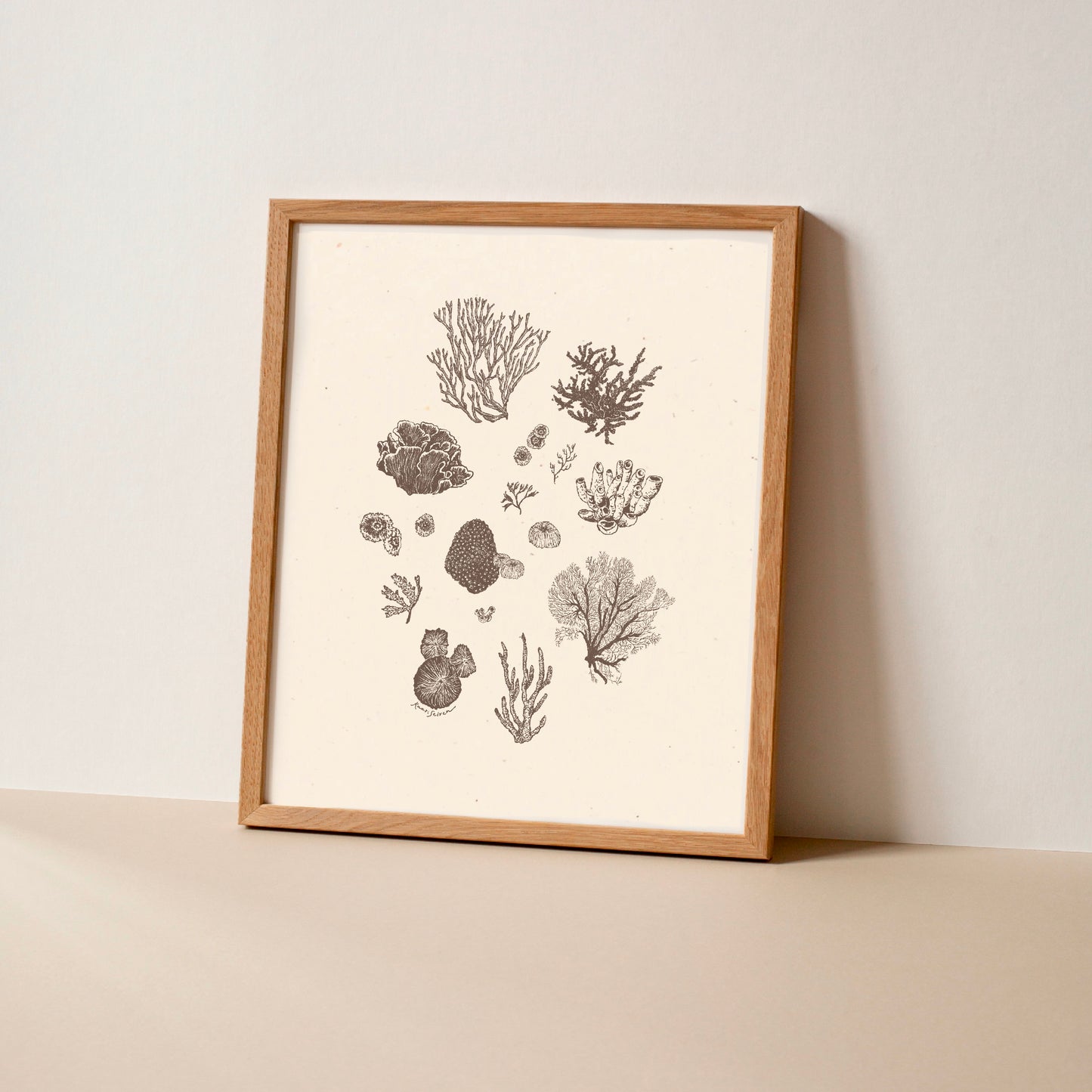 Coral Sketches II Art Print