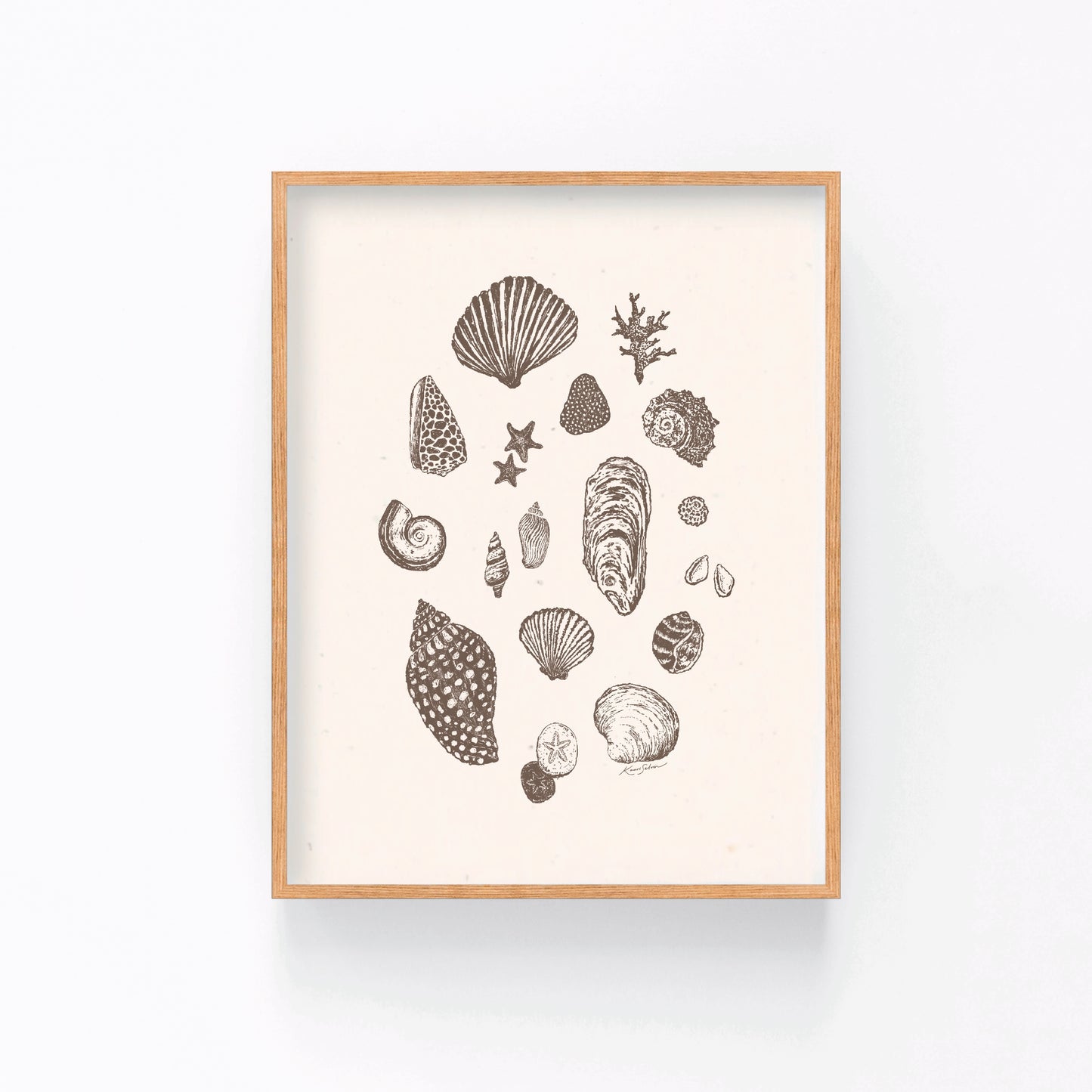 Seashell Sketches II Art Print
