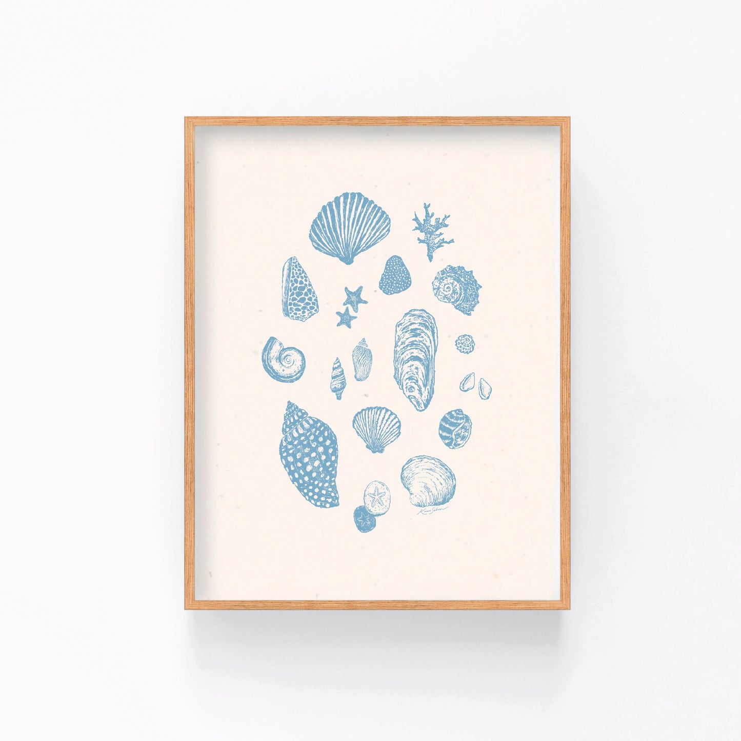Seashell Sketches II Art Print