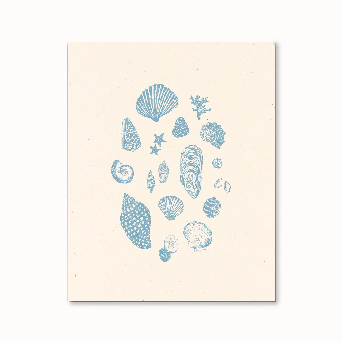 Seashell Sketches II Art Print
