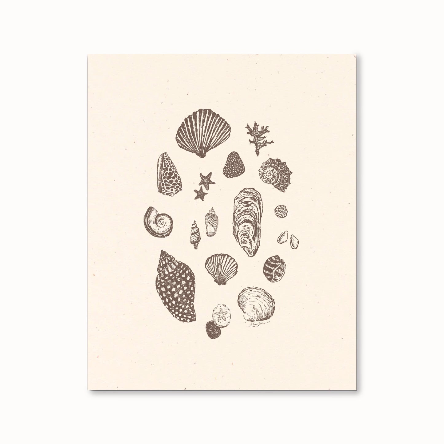 Seashell Sketches II Art Print