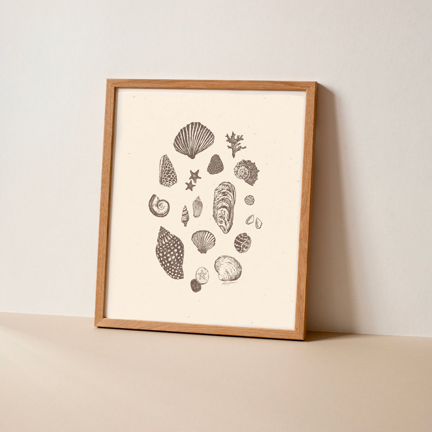 Seashell Sketches II Art Print