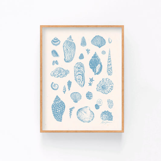 Seashell Sketches I Art Print