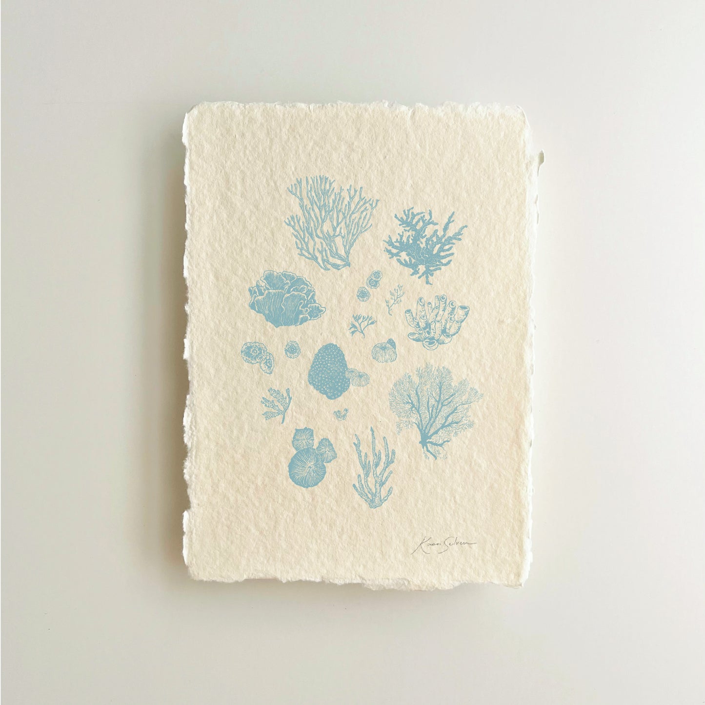 Coral Sketches II Heirloom Art Print