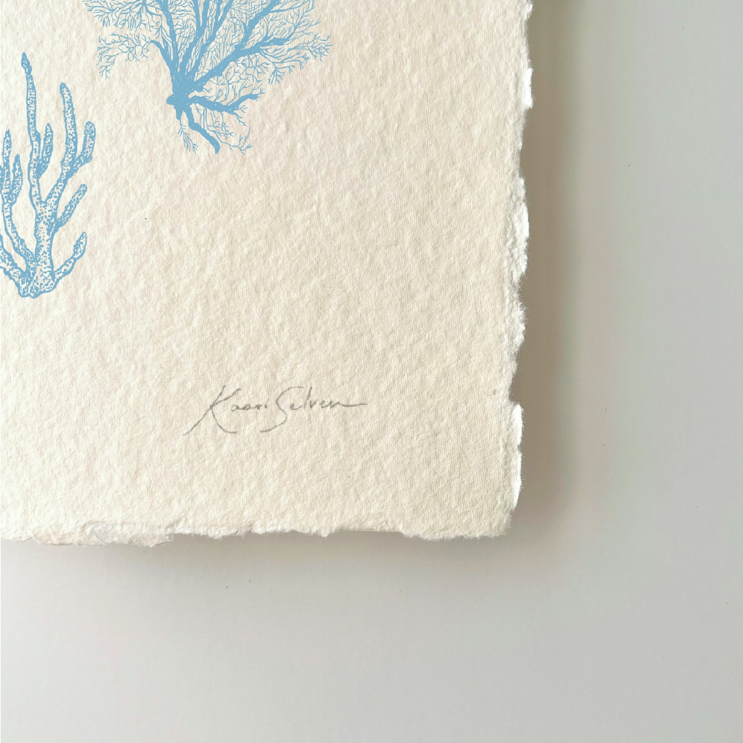 Coral Sketches II Heirloom Art Print