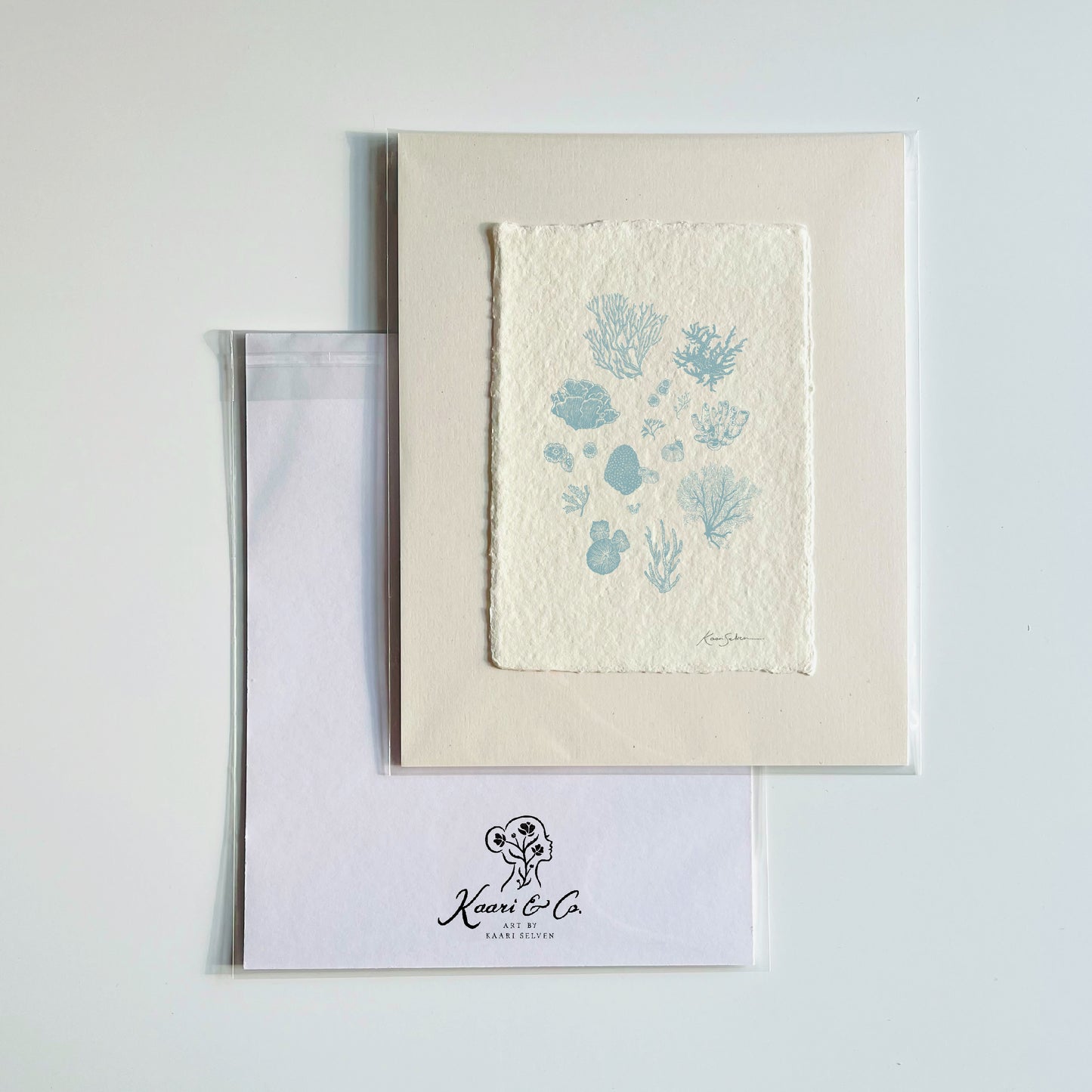 Coral Sketches II Heirloom Art Print