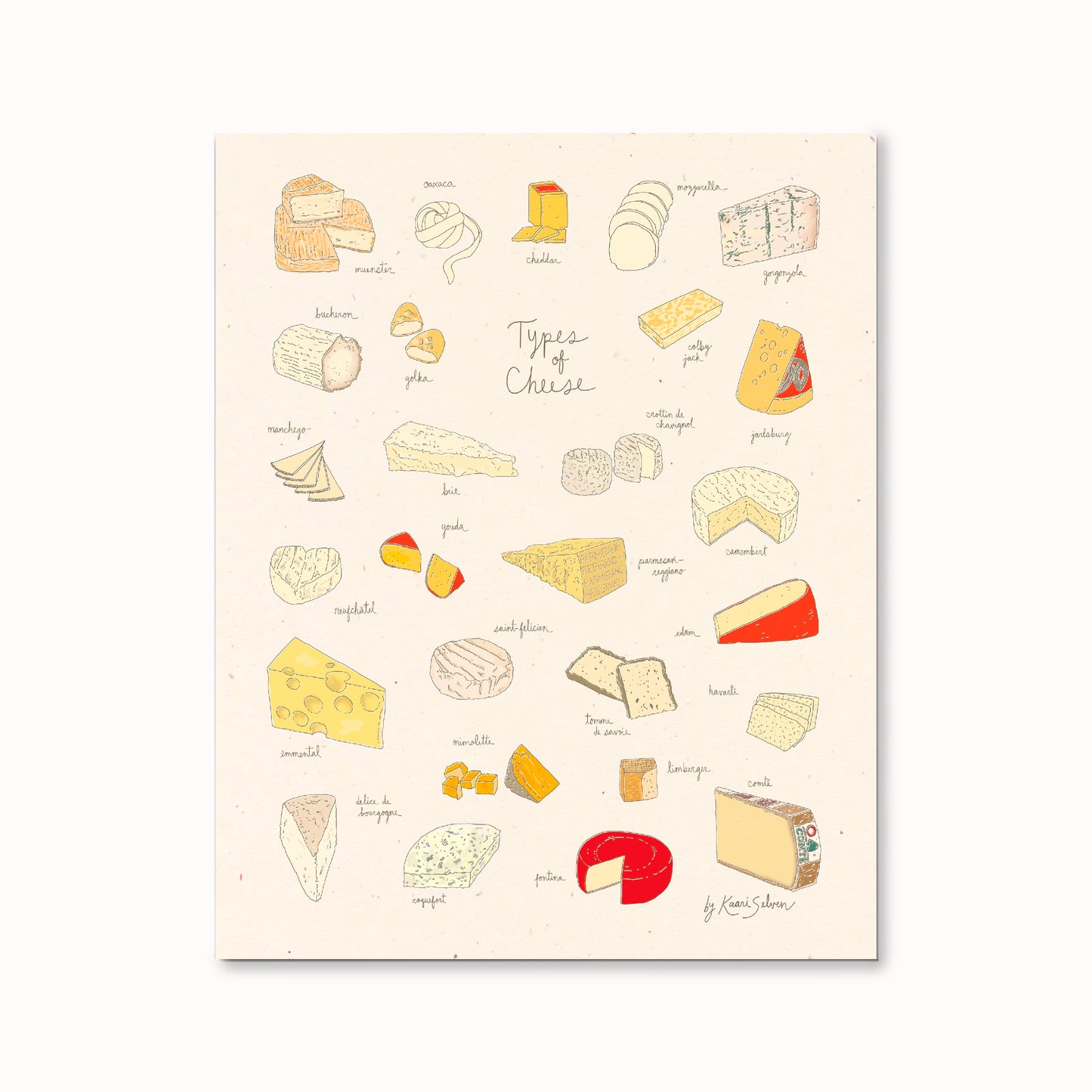 Types of Cheese Art Print - Open Edition