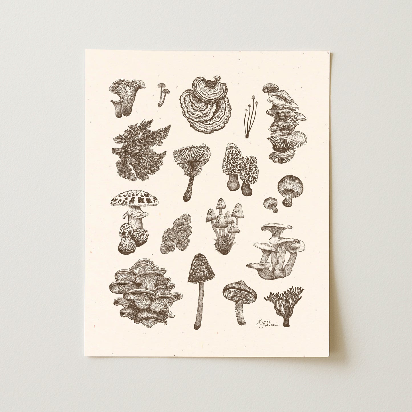 Mushroom Varieties Art Print