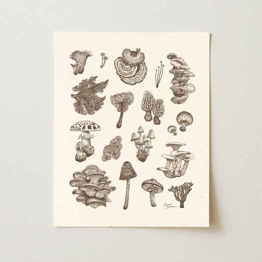Mushroom Varieties Art Print