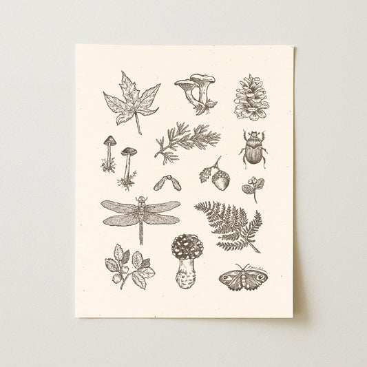 Joys of the Forest Art Print