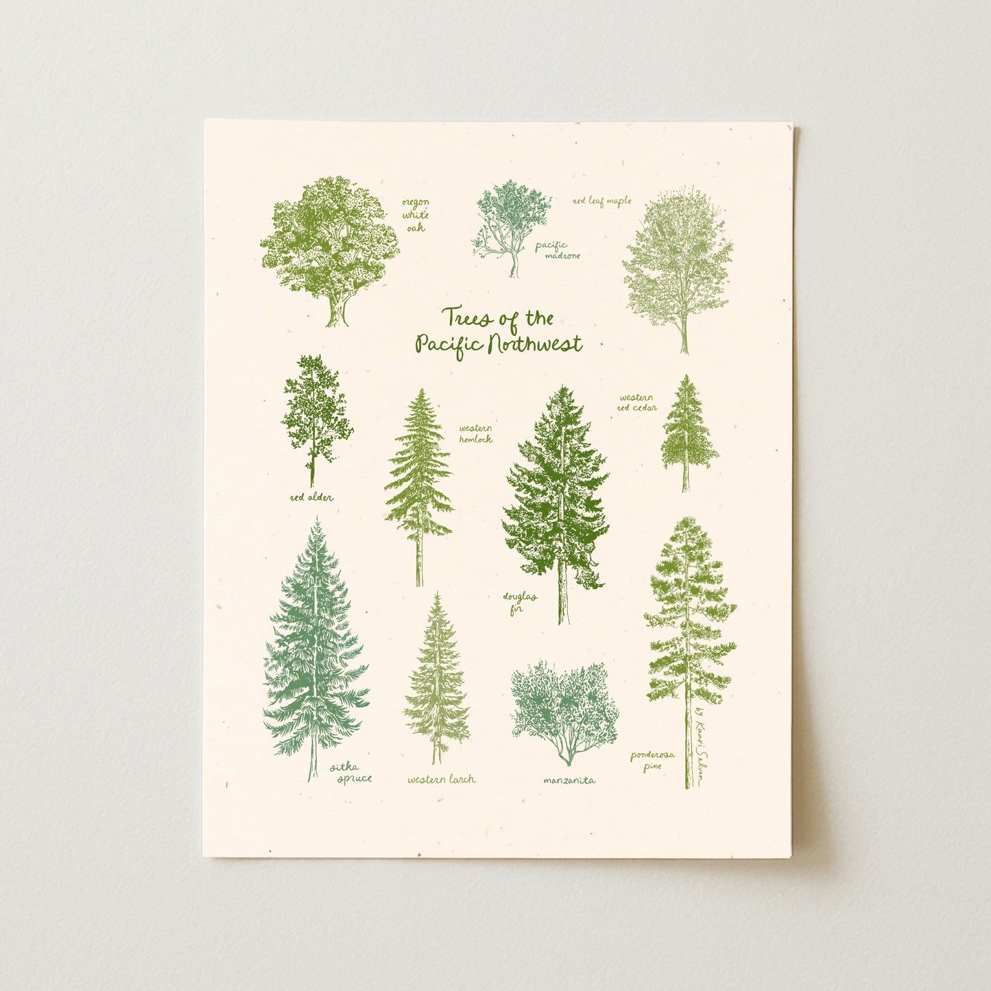 Trees of the Pacific Northwest Art Print