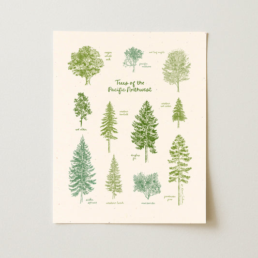 Trees of the Pacific Northwest Art Print