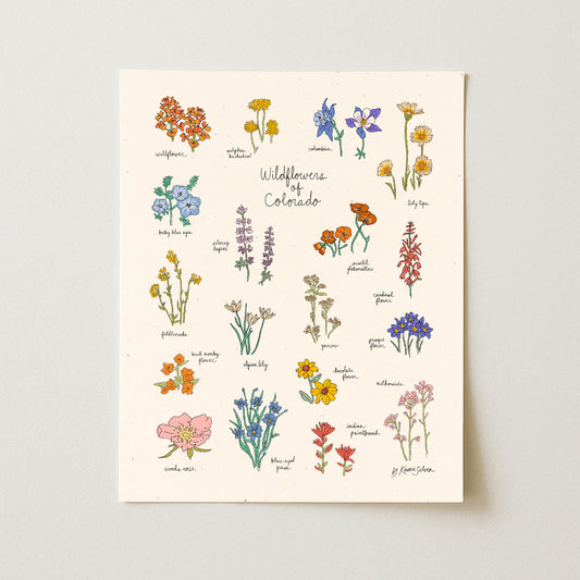 Wildflowers of Colorado Art Print