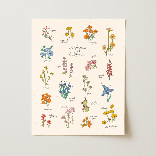 Wildflowers of California Art Print