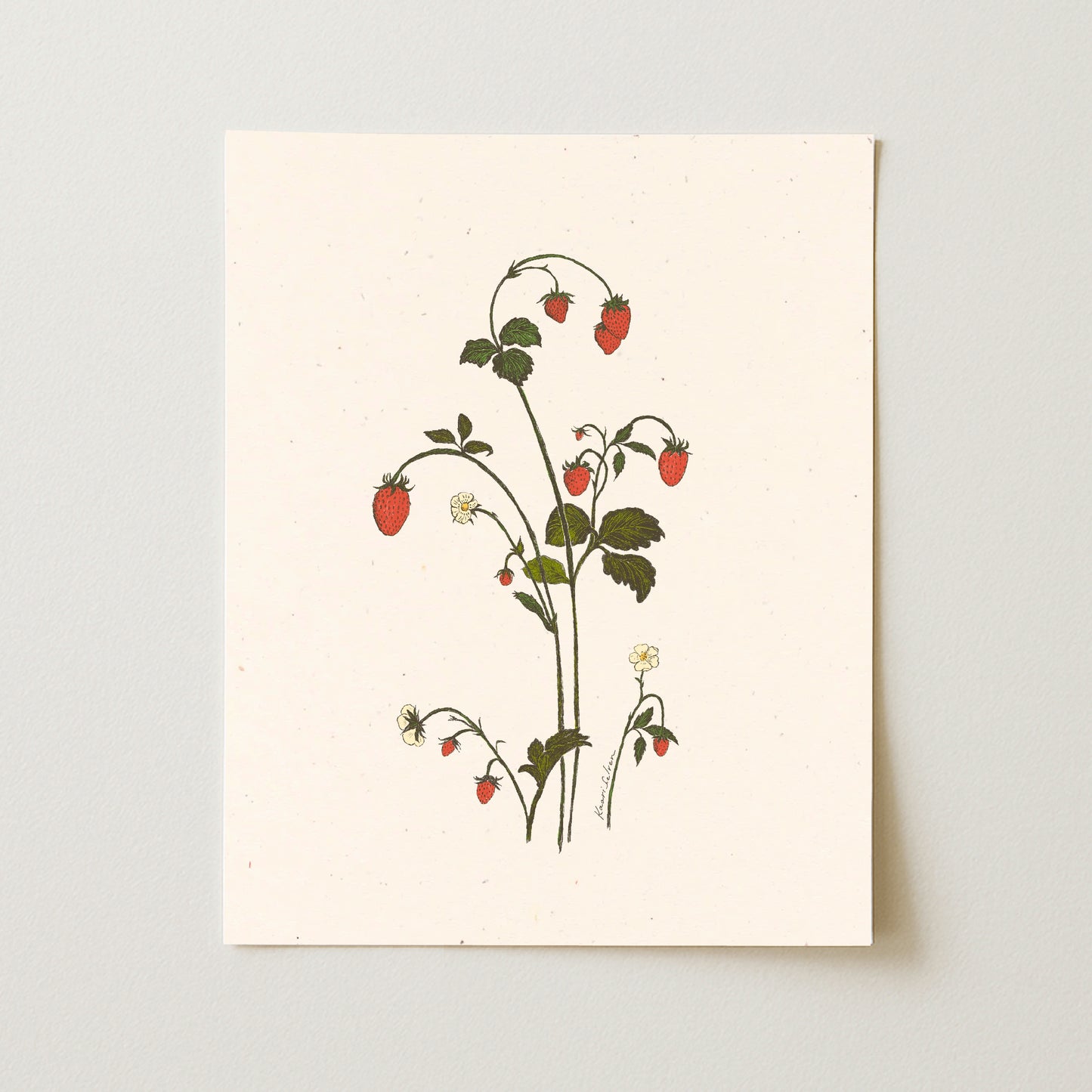 Strawberry Sprig Art Print - Open Edition