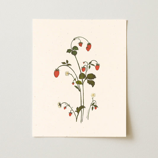 Strawberry Sprig Art Print - Open Edition