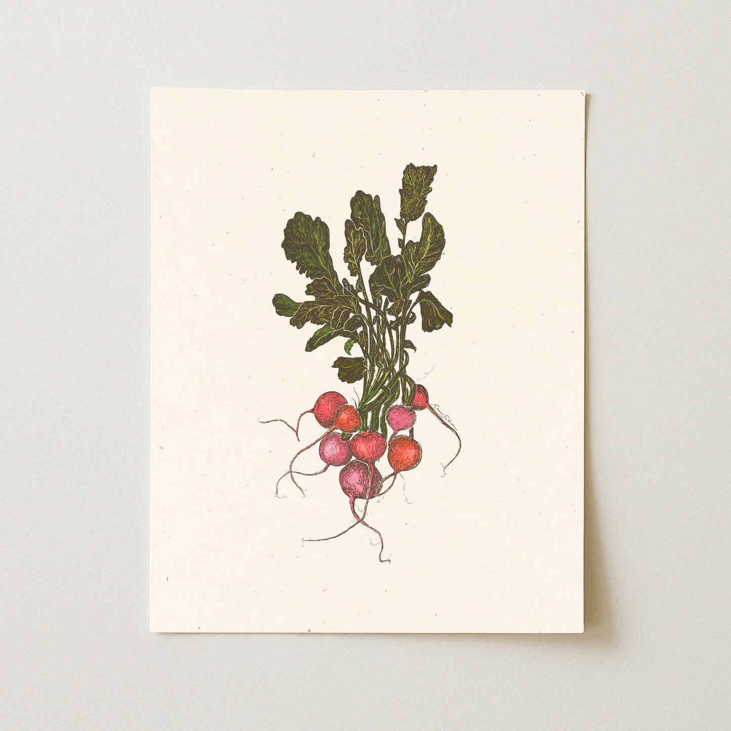 Bunch of Radishes Art Print - Open Edition