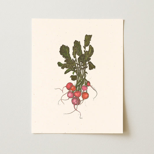Bunch of Radishes Art Print - Open Edition
