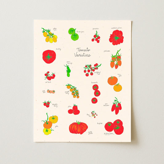 Tomato Varieties Art Print - Open Edition