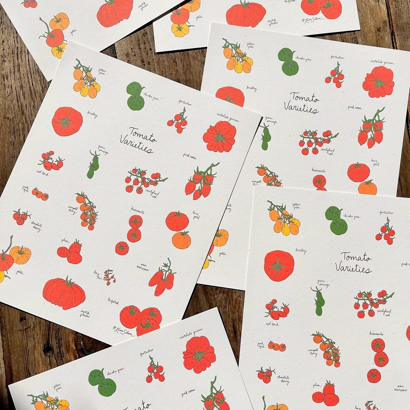 Tomato Varieties Art Print - Open Edition